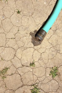 Hose placed on cracked, dried out land.