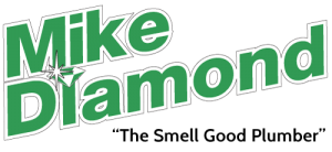 Mike Diamond Services