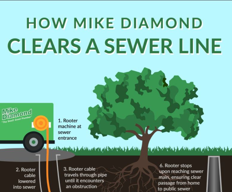 How Mike Diamond Clears a Sewer Line