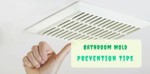 Bathroom mold prevention tips