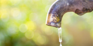 Lowering your water bill this summer