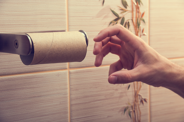 What to Do When You Run Out of Toilet Paper - What Can You Flush?