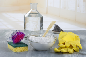 A bottle of vinegar and bowl of baking soda.