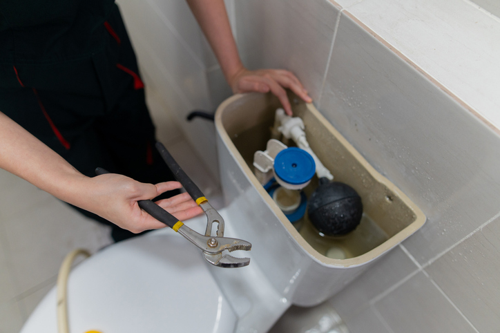 What Most People Miss During Toilet Replacement